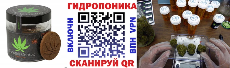 Canna-Cookies конопля продажа наркотиков Володарск