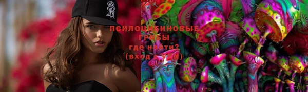 ПСИЛОЦИБИНОВЫЕ ГРИБЫ Белокуриха