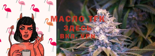 твердый Арсеньев